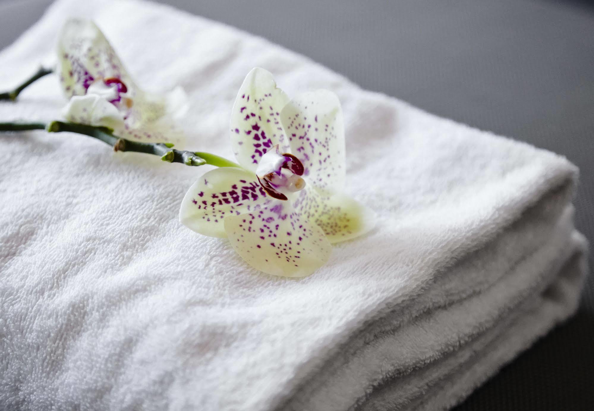 Hotel Milling Sopark Maribo